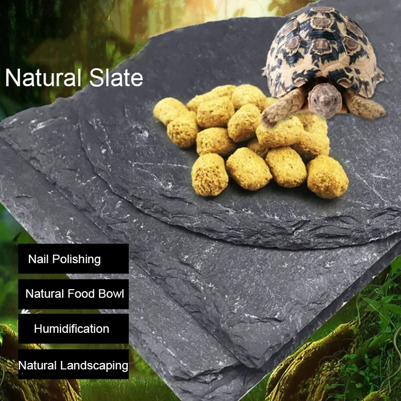 Pet Supplies Fish - Natural Slate Aquarium Pet Réptil Alimentador,
