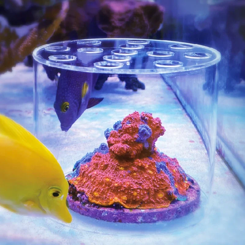 Pet Supplies Fish - Vastocean aquário acrílico coral alimentador capa