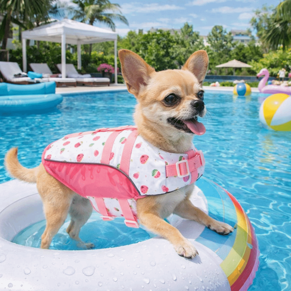 Dog Life Jacket - Colete Salva-Vidas Ajustável para Cães: Alta