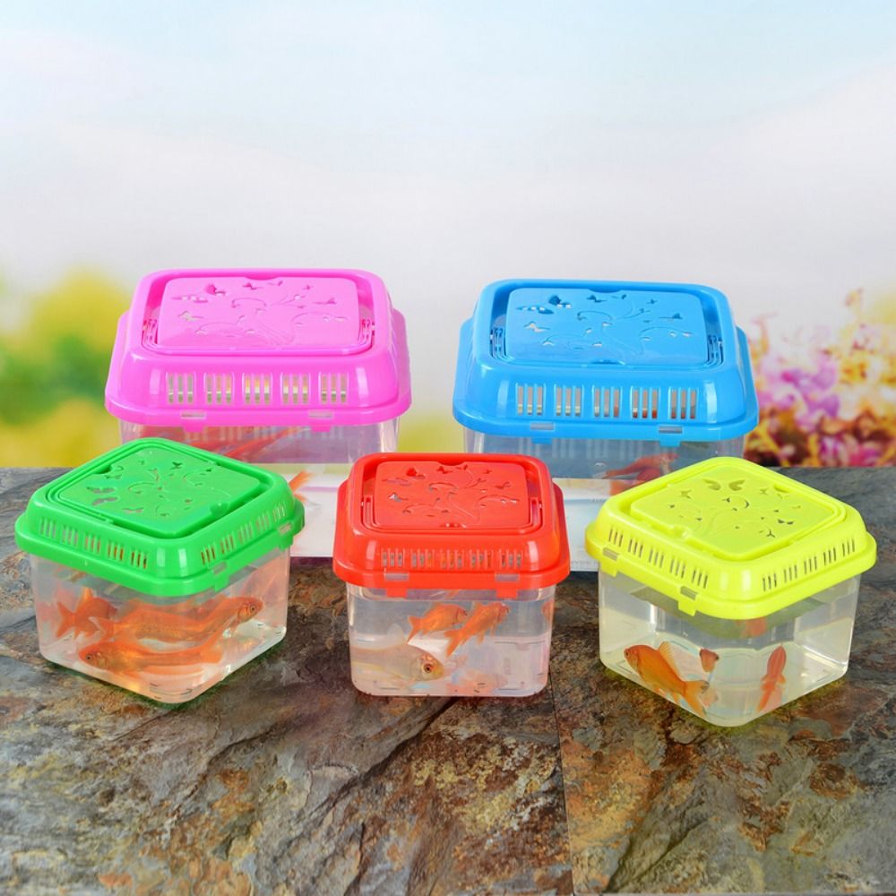 Mini portátil plástico aquário - Pet Supplies Fish avaliação e preço
