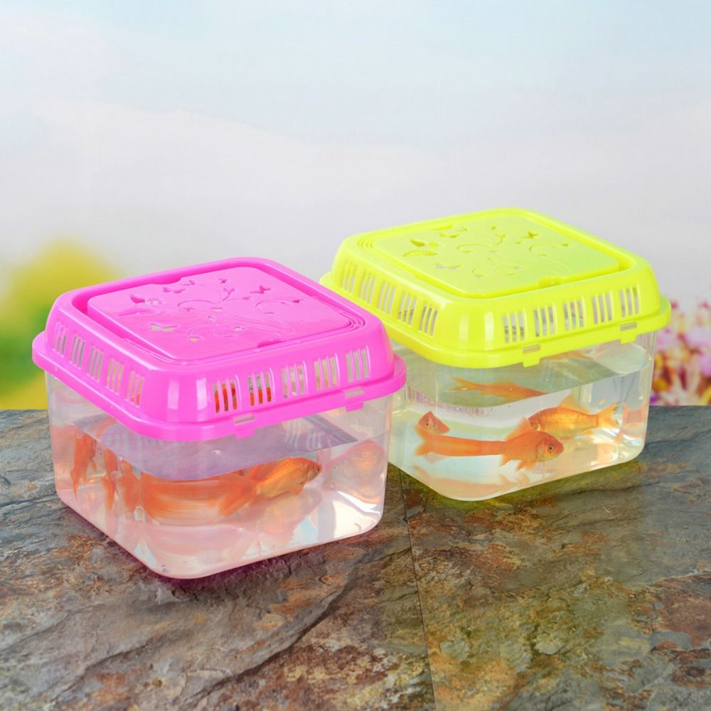 Mini portátil plástico aquário - Pet Supplies Fish avaliação e preço