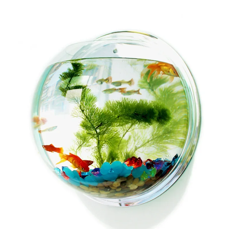 Pinsjar acrílico tigela de pei - Pet Supplies Fish avaliação e preço