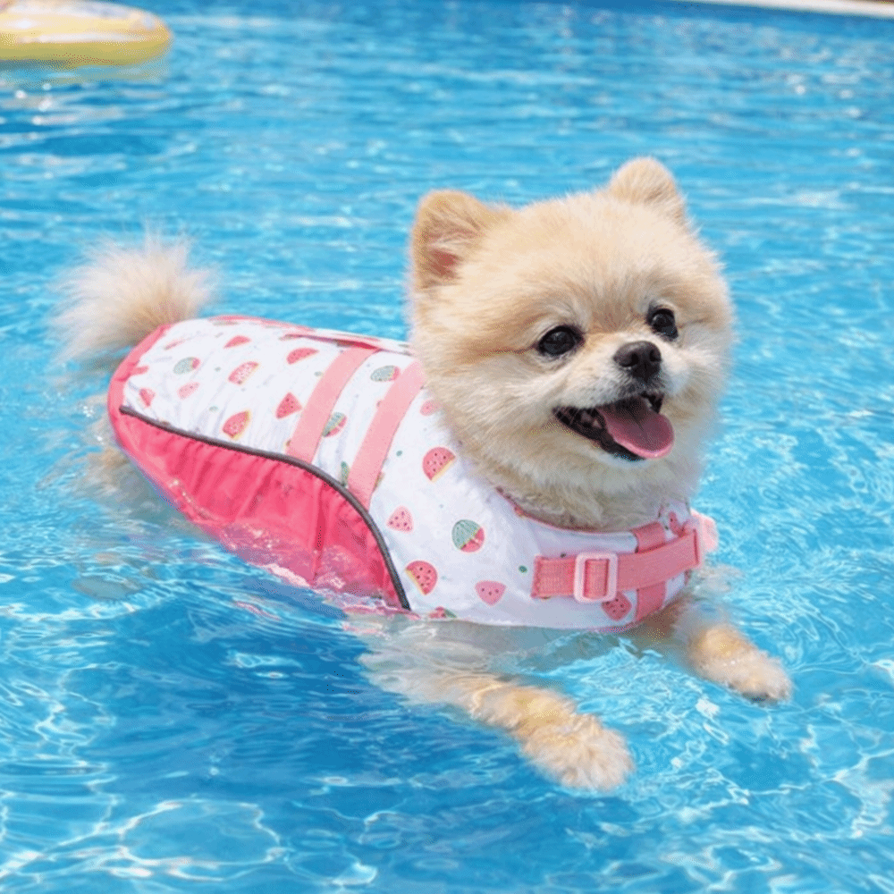 Colete Salva-Vidas Ajustável p - Dog Life Jacket avaliação e preço